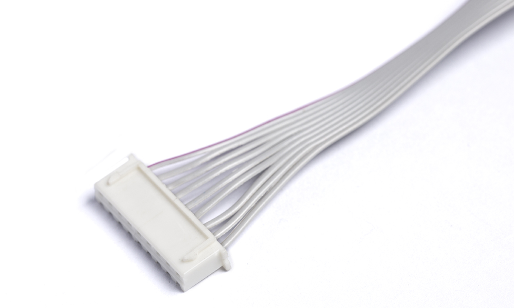 4G5A3883-1000x600.jpg