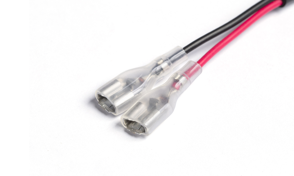 4G5A3799-1000x600.jpg